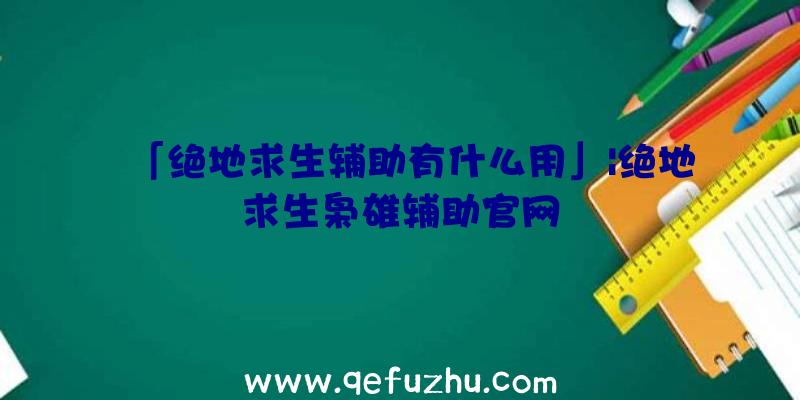 「绝地求生辅助有什么用」|绝地求生枭雄辅助官网